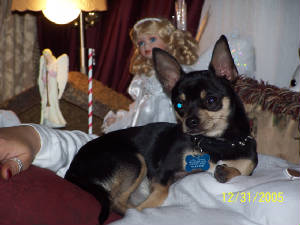 christmasandsuch094.jpg