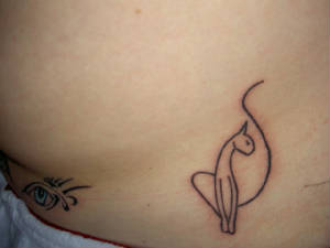 pict0559.jpg