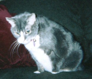 tasha18.jpg